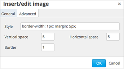 Image of the Insert image dialog box Advanced tab