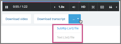 Video status bar showing .srt and .txt transcript download options.