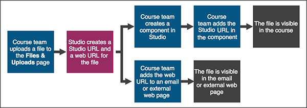 A workflow diagram showing the steps to add and show a file in a course or on the internet.