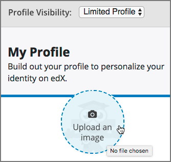 A profile with the image upload area selected.
