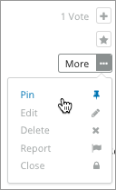 The pin icon for discussion posts.