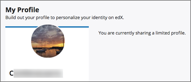 A learner's limited profile showing only username and image.