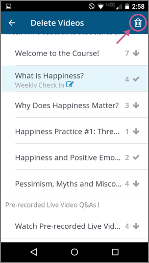 On the Delete Videos page, a list of subsections that contain videos, with one subsection selected and showing the number 4 next to checkmark icon, and a trash can icon available in the header bar.
