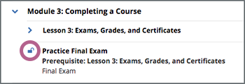 The course outline showing an unlocked icon next to the name of a section.