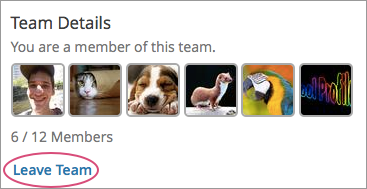 The Leave Team link on the Team Details page.